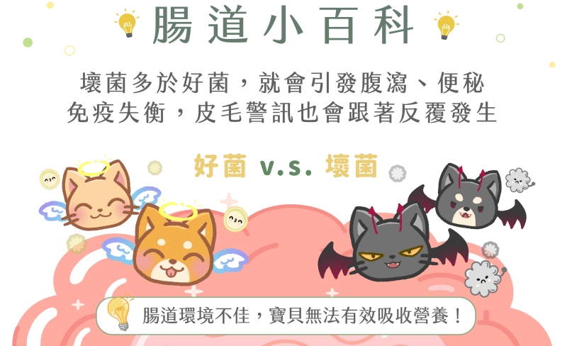 寵物。歸毛家族好腸寶。長得這麼美的貓竟然全身沾滿排泄物?媽媽為此到處求神拜佛。終於在這裡找到原因和解決辦法。全齡犬貓適用。有酵幫助降低糞便氣味。歸毛家族評價。獨家沙棘果萃取,最高營養含量。植物綜合酵素 Vala:生活中的100個美好 寵物。歸毛家族好腸寶。長得這麼美的貓竟然全身沾滿排泄物?媽媽為此到處求神拜佛。終於在這裡找到原因和解決辦法。全齡犬貓適用。有酵幫助降低糞便氣味。歸毛家族評價。獨家沙棘果萃取,最高營養含量。植物綜合酵素 Vala:生活中的100個美好