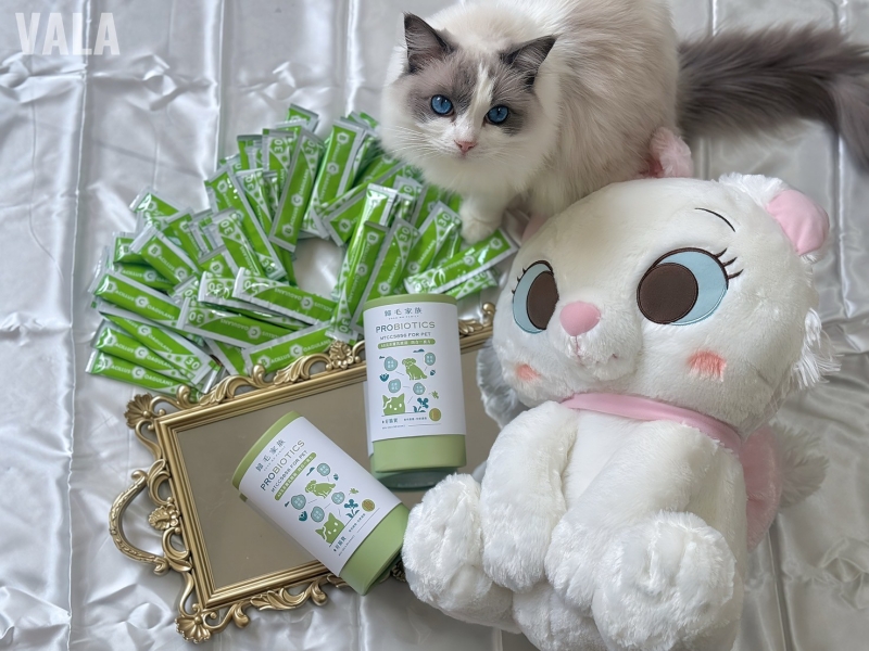寵物。歸毛家族好腸寶。長得這麼美的貓竟然全身沾滿排泄物?媽媽為此到處求神拜佛。終於在這裡找到原因和解決辦法。全齡犬貓適用。有酵幫助降低糞便氣味。歸毛家族評價。獨家沙棘果萃取,最高營養含量。植物綜合酵素 Vala:生活中的100個美好 寵物。歸毛家族好腸寶。長得這麼美的貓竟然全身沾滿排泄物?媽媽為此到處求神拜佛。終於在這裡找到原因和解決辦法。全齡犬貓適用。有酵幫助降低糞便氣味。歸毛家族評價。獨家沙棘果萃取,最高營養含量。植物綜合酵素 Vala:生活中的100個美好