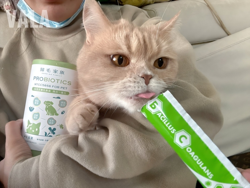 寵物。歸毛家族好腸寶。長得這麼美的貓竟然全身沾滿排泄物?媽媽為此到處求神拜佛。終於在這裡找到原因和解決辦法。全齡犬貓適用。有酵幫助降低糞便氣味。歸毛家族評價。獨家沙棘果萃取,最高營養含量。植物綜合酵素 Vala:生活中的100個美好 寵物。歸毛家族好腸寶。長得這麼美的貓竟然全身沾滿排泄物?媽媽為此到處求神拜佛。終於在這裡找到原因和解決辦法。全齡犬貓適用。有酵幫助降低糞便氣味。歸毛家族評價。獨家沙棘果萃取,最高營養含量。植物綜合酵素 Vala:生活中的100個美好