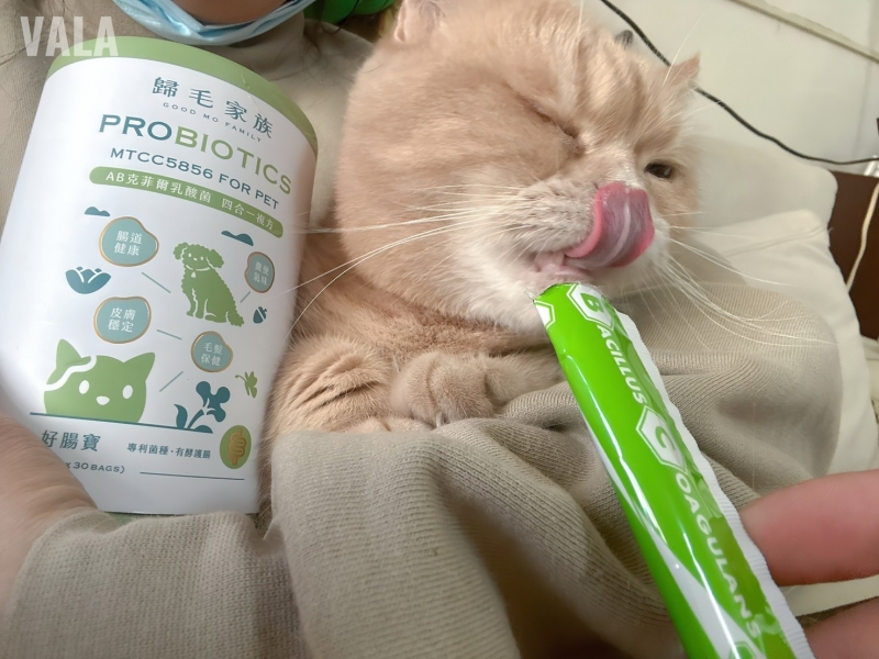 寵物。歸毛家族好腸寶。長得這麼美的貓竟然全身沾滿排泄物?媽媽為此到處求神拜佛。終於在這裡找到原因和解決辦法。全齡犬貓適用。有酵幫助降低糞便氣味。歸毛家族評價。獨家沙棘果萃取,最高營養含量。植物綜合酵素 Vala:生活中的100個美好 寵物。歸毛家族好腸寶。長得這麼美的貓竟然全身沾滿排泄物?媽媽為此到處求神拜佛。終於在這裡找到原因和解決辦法。全齡犬貓適用。有酵幫助降低糞便氣味。歸毛家族評價。獨家沙棘果萃取,最高營養含量。植物綜合酵素 Vala:生活中的100個美好