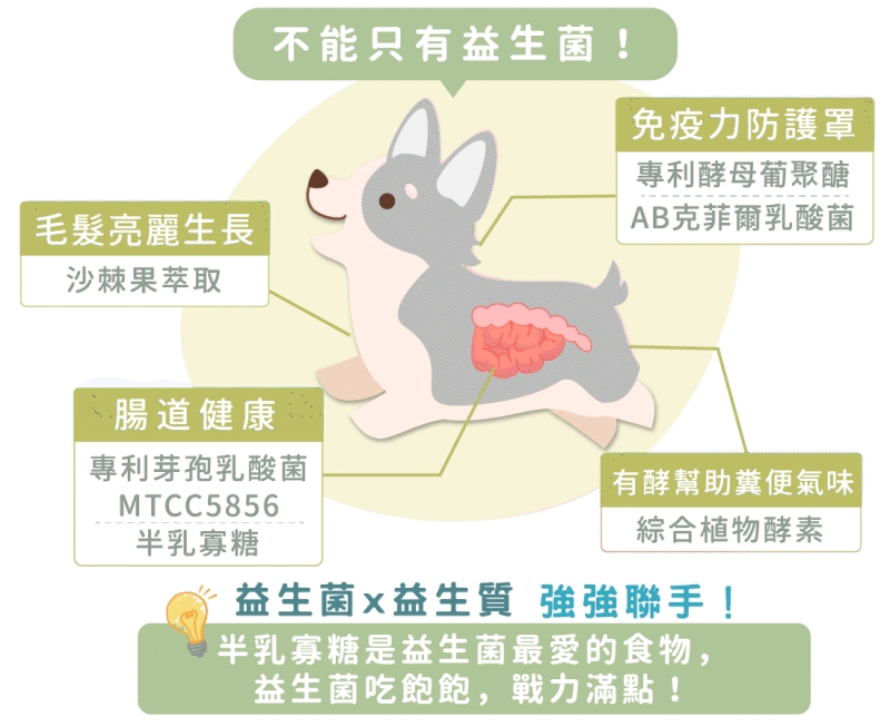 寵物。歸毛家族好腸寶。長得這麼美的貓竟然全身沾滿排泄物?媽媽為此到處求神拜佛。終於在這裡找到原因和解決辦法。全齡犬貓適用。有酵幫助降低糞便氣味。歸毛家族評價。獨家沙棘果萃取,最高營養含量。植物綜合酵素 Vala:生活中的100個美好 寵物。歸毛家族好腸寶。長得這麼美的貓竟然全身沾滿排泄物?媽媽為此到處求神拜佛。終於在這裡找到原因和解決辦法。全齡犬貓適用。有酵幫助降低糞便氣味。歸毛家族評價。獨家沙棘果萃取,最高營養含量。植物綜合酵素 Vala:生活中的100個美好