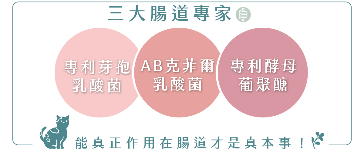 寵物。歸毛家族好腸寶。長得這麼美的貓竟然全身沾滿排泄物?媽媽為此到處求神拜佛。終於在這裡找到原因和解決辦法。全齡犬貓適用。有酵幫助降低糞便氣味。歸毛家族評價。獨家沙棘果萃取,最高營養含量。植物綜合酵素 Vala:生活中的100個美好 寵物。歸毛家族好腸寶。長得這麼美的貓竟然全身沾滿排泄物?媽媽為此到處求神拜佛。終於在這裡找到原因和解決辦法。全齡犬貓適用。有酵幫助降低糞便氣味。歸毛家族評價。獨家沙棘果萃取,最高營養含量。植物綜合酵素 Vala:生活中的100個美好