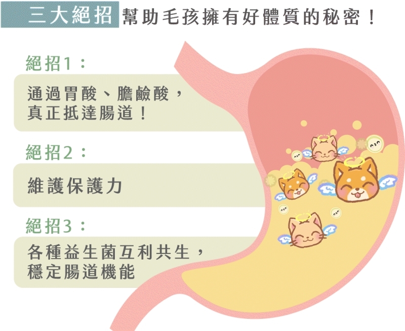 寵物。歸毛家族好腸寶。長得這麼美的貓竟然全身沾滿排泄物?媽媽為此到處求神拜佛。終於在這裡找到原因和解決辦法。全齡犬貓適用。有酵幫助降低糞便氣味。歸毛家族評價。獨家沙棘果萃取,最高營養含量。植物綜合酵素 Vala:生活中的100個美好 寵物。歸毛家族好腸寶。長得這麼美的貓竟然全身沾滿排泄物?媽媽為此到處求神拜佛。終於在這裡找到原因和解決辦法。全齡犬貓適用。有酵幫助降低糞便氣味。歸毛家族評價。獨家沙棘果萃取,最高營養含量。植物綜合酵素 Vala:生活中的100個美好