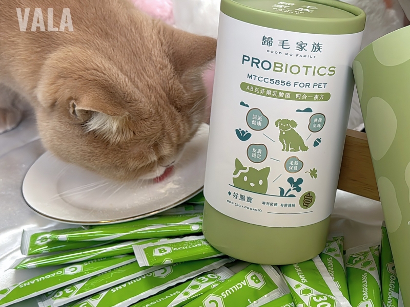 寵物。歸毛家族好腸寶。長得這麼美的貓竟然全身沾滿排泄物?媽媽為此到處求神拜佛。終於在這裡找到原因和解決辦法。全齡犬貓適用。有酵幫助降低糞便氣味。歸毛家族評價。獨家沙棘果萃取,最高營養含量。植物綜合酵素 Vala:生活中的100個美好 寵物。歸毛家族好腸寶。長得這麼美的貓竟然全身沾滿排泄物?媽媽為此到處求神拜佛。終於在這裡找到原因和解決辦法。全齡犬貓適用。有酵幫助降低糞便氣味。歸毛家族評價。獨家沙棘果萃取,最高營養含量。植物綜合酵素 Vala:生活中的100個美好