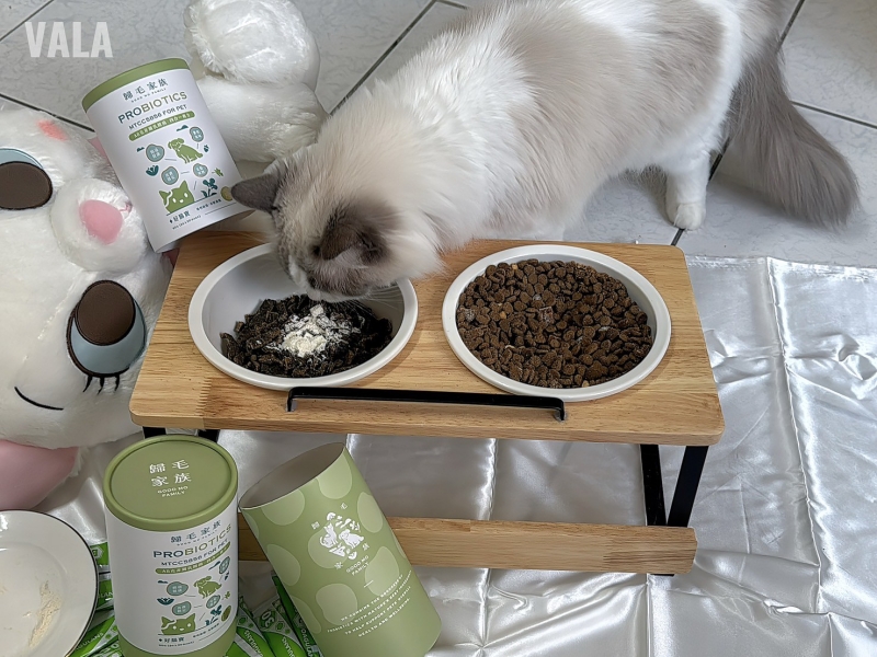 寵物。歸毛家族好腸寶。長得這麼美的貓竟然全身沾滿排泄物?媽媽為此到處求神拜佛。終於在這裡找到原因和解決辦法。全齡犬貓適用。有酵幫助降低糞便氣味。歸毛家族評價。獨家沙棘果萃取,最高營養含量。植物綜合酵素 Vala:生活中的100個美好 寵物。歸毛家族好腸寶。長得這麼美的貓竟然全身沾滿排泄物?媽媽為此到處求神拜佛。終於在這裡找到原因和解決辦法。全齡犬貓適用。有酵幫助降低糞便氣味。歸毛家族評價。獨家沙棘果萃取,最高營養含量。植物綜合酵素 Vala:生活中的100個美好