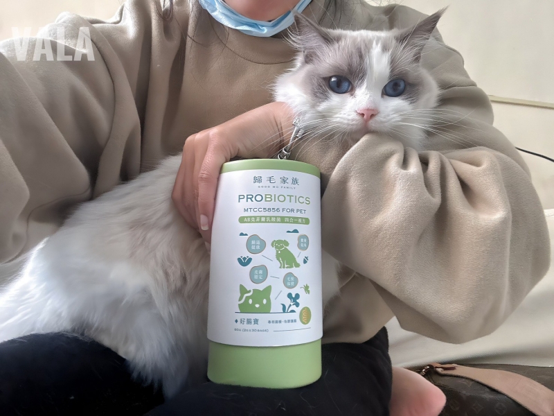 寵物。歸毛家族好腸寶。長得這麼美的貓竟然全身沾滿排泄物?媽媽為此到處求神拜佛。終於在這裡找到原因和解決辦法。全齡犬貓適用。有酵幫助降低糞便氣味。歸毛家族評價。獨家沙棘果萃取,最高營養含量。植物綜合酵素 Vala:生活中的100個美好 寵物。歸毛家族好腸寶。長得這麼美的貓竟然全身沾滿排泄物?媽媽為此到處求神拜佛。終於在這裡找到原因和解決辦法。全齡犬貓適用。有酵幫助降低糞便氣味。歸毛家族評價。獨家沙棘果萃取,最高營養含量。植物綜合酵素 Vala:生活中的100個美好