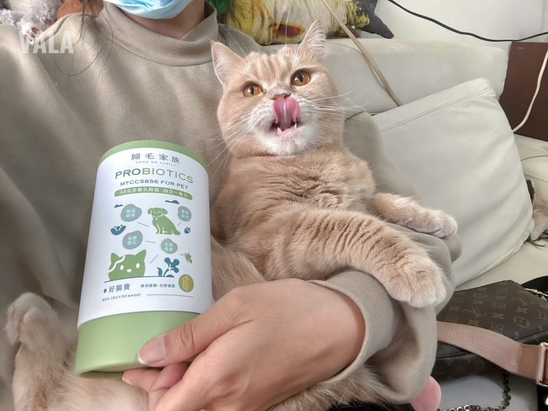 寵物。歸毛家族好腸寶。長得這麼美的貓竟然全身沾滿排泄物?媽媽為此到處求神拜佛。終於在這裡找到原因和解決辦法。全齡犬貓適用。有酵幫助降低糞便氣味。歸毛家族評價。獨家沙棘果萃取,最高營養含量。植物綜合酵素 Vala:生活中的100個美好 寵物。歸毛家族好腸寶。長得這麼美的貓竟然全身沾滿排泄物?媽媽為此到處求神拜佛。終於在這裡找到原因和解決辦法。全齡犬貓適用。有酵幫助降低糞便氣味。歸毛家族評價。獨家沙棘果萃取,最高營養含量。植物綜合酵素 Vala:生活中的100個美好