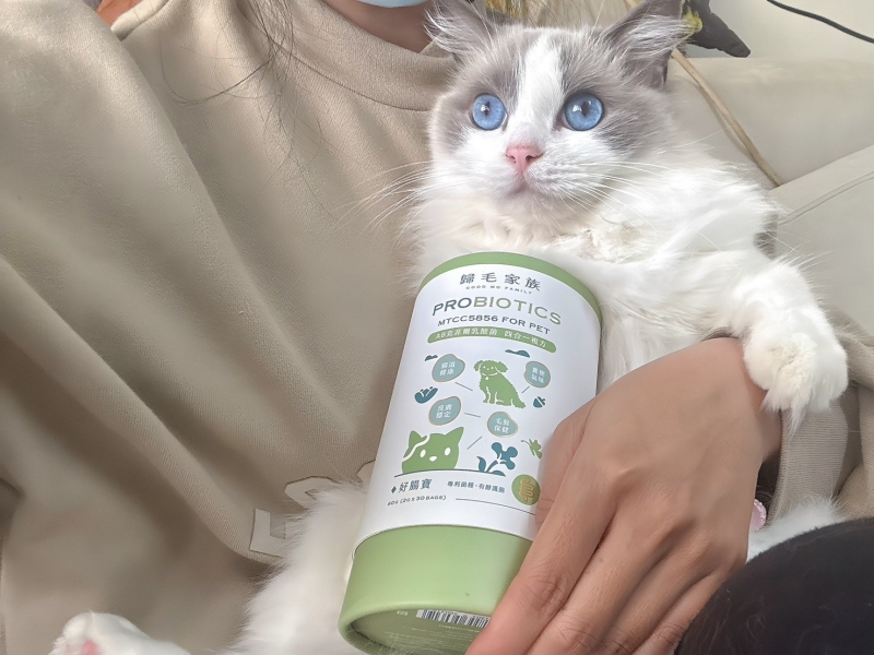寵物。歸毛家族好腸寶。長得這麼美的貓竟然全身沾滿排泄物?媽媽為此到處求神拜佛。終於在這裡找到原因和解決辦法。全齡犬貓適用。有酵幫助降低糞便氣味。歸毛家族評價。獨家沙棘果萃取,最高營養含量。植物綜合酵素 Vala:生活中的100個美好 寵物。歸毛家族好腸寶。長得這麼美的貓竟然全身沾滿排泄物?媽媽為此到處求神拜佛。終於在這裡找到原因和解決辦法。全齡犬貓適用。有酵幫助降低糞便氣味。歸毛家族評價。獨家沙棘果萃取,最高營養含量。植物綜合酵素 Vala:生活中的100個美好